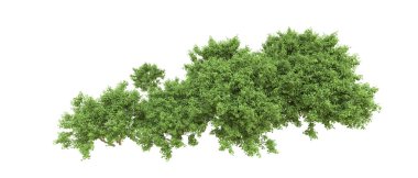 Yeşil orman ıssız. Afişler ve afişler için kullanışlı. 3d oluşturma.
