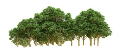 Yeşil orman ıssız. Afişler ve afişler için kullanışlı. 3d oluşturma.