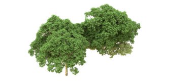 Yeşil orman ıssız. Afişler ve afişler için kullanışlı. 3d oluşturma.