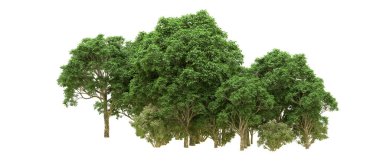 Yeşil orman ıssız. Afişler ve afişler için kullanışlı. 3d oluşturma.