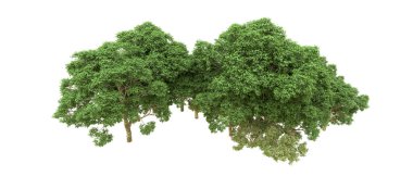 Yeşil orman ıssız. Afişler ve afişler için kullanışlı. 3d oluşturma.