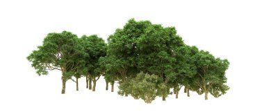 Yeşil orman ıssız. Afişler ve afişler için kullanışlı. 3d oluşturma.