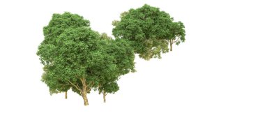 Yeşil orman ıssız. Afişler ve afişler için kullanışlı. 3d oluşturma.