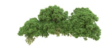 Yeşil orman ıssız. Afişler ve afişler için kullanışlı. 3d oluşturma.