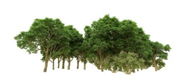 Yeşil orman ıssız. Afişler ve afişler için kullanışlı. 3d oluşturma.