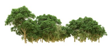 Yeşil orman ıssız. Afişler ve afişler için kullanışlı. 3d oluşturma.