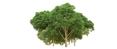 Yeşil orman ıssız. Afişler ve afişler için kullanışlı. 3d oluşturma.