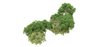Yeşil orman ıssız. Afişler ve afişler için kullanışlı. 3d oluşturma.