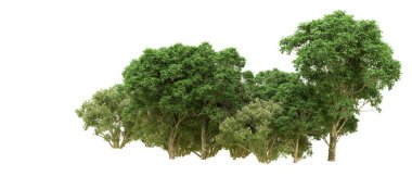 Yeşil orman ıssız. Afişler ve afişler için kullanışlı. 3d oluşturma.