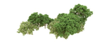 Yeşil orman ıssız. Afişler ve afişler için kullanışlı. 3d oluşturma.