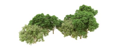 Yeşil orman ıssız. Afişler ve afişler için kullanışlı. 3d oluşturma.