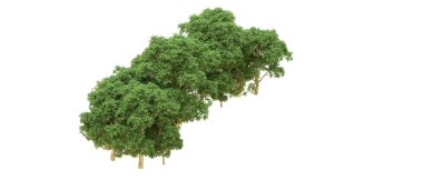 Yeşil orman ıssız. Afişler ve afişler için kullanışlı. 3d oluşturma.