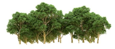 Yeşil orman ıssız. Afişler ve afişler için kullanışlı. 3d oluşturma.