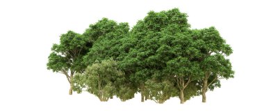 Yeşil orman ıssız. Afişler ve afişler için kullanışlı. 3d oluşturma.