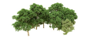 Yeşil orman ıssız. Afişler ve afişler için kullanışlı. 3d oluşturma.