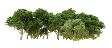 Yeşil orman ıssız. Afişler ve afişler için kullanışlı. 3d oluşturma.