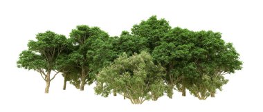 Yeşil orman ıssız. Afişler ve afişler için kullanışlı. 3d oluşturma.