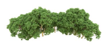 Yeşil orman ıssız. Afişler ve afişler için kullanışlı. 3d oluşturma.