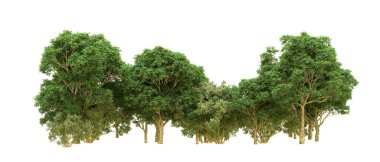 Yeşil orman ıssız. Afişler ve afişler için kullanışlı. 3d oluşturma.