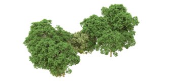 Yeşil orman ıssız. Afişler ve afişler için kullanışlı. 3d oluşturma.