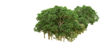 Yeşil orman ıssız. Afişler ve afişler için kullanışlı. 3d oluşturma.