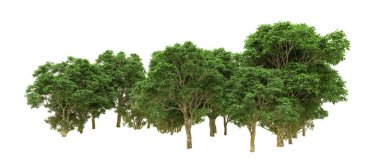 Yeşil orman ıssız. Afişler ve afişler için kullanışlı. 3d oluşturma.