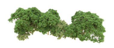 Yeşil orman ıssız. Afişler ve afişler için kullanışlı. 3d oluşturma.