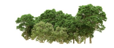 Yeşil orman ıssız. Afişler ve afişler için kullanışlı. 3d oluşturma.