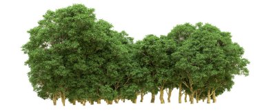 Yeşil orman ıssız. Afişler ve afişler için kullanışlı. 3d oluşturma.