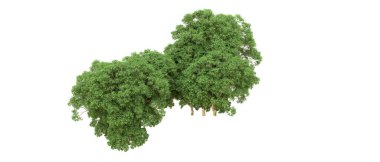 Yeşil orman ıssız. Afişler ve afişler için kullanışlı. 3d oluşturma.