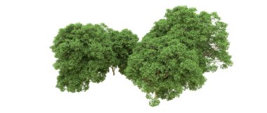 Yeşil orman ıssız. Afişler ve afişler için kullanışlı. 3d oluşturma.