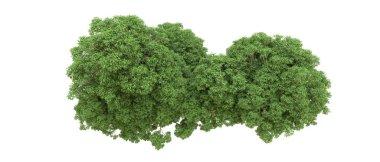 Yeşil orman ıssız. Afişler ve afişler için kullanışlı. 3d oluşturma.