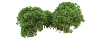 Yeşil orman ıssız. Afişler ve afişler için kullanışlı. 3d oluşturma.