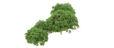 Yeşil orman ıssız. Afişler ve afişler için kullanışlı. 3d oluşturma.