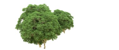 Yeşil orman ıssız. Afişler ve afişler için kullanışlı. 3d oluşturma.