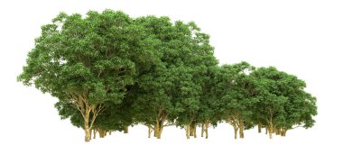 Yeşil orman ıssız. Afişler ve afişler için kullanışlı. 3d oluşturma.