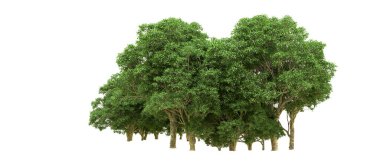 Yeşil orman ıssız. Afişler ve afişler için kullanışlı. 3d oluşturma.