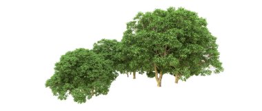 Yeşil orman ıssız. Afişler ve afişler için kullanışlı. 3d oluşturma.