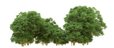 Yeşil orman ıssız. Afişler ve afişler için kullanışlı. 3d oluşturma.