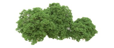 Yeşil orman ıssız. Afişler ve afişler için kullanışlı. 3d oluşturma.