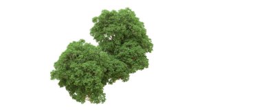 Yeşil orman ıssız. Afişler ve afişler için kullanışlı. 3d oluşturma.