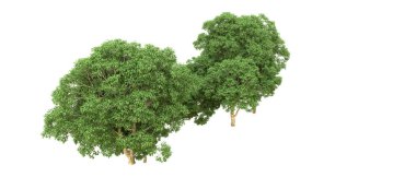 Yeşil orman ıssız. Afişler ve afişler için kullanışlı. 3d oluşturma.