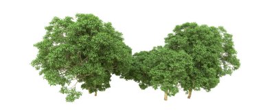 Yeşil orman ıssız. Afişler ve afişler için kullanışlı. 3d oluşturma.