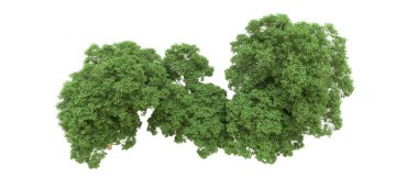 Yeşil orman ıssız. Afişler ve afişler için kullanışlı. 3d oluşturma.