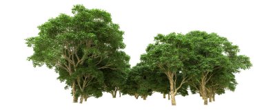 Yeşil orman ıssız. Afişler ve afişler için kullanışlı. 3d oluşturma.