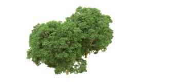 Yeşil orman ıssız. Afişler ve afişler için kullanışlı. 3d oluşturma.