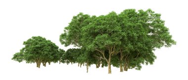 Yeşil orman ıssız. Afişler ve afişler için kullanışlı. 3d oluşturma.