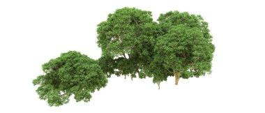 Yeşil orman ıssız. Afişler ve afişler için kullanışlı. 3d oluşturma.