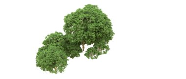 Yeşil orman ıssız. Afişler ve afişler için kullanışlı. 3d oluşturma.