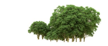 Yeşil orman ıssız. Afişler ve afişler için kullanışlı. 3d oluşturma.